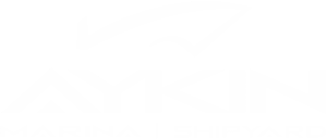 1737718501-Aykin-min